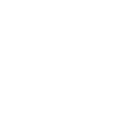 SIG SAUER official logo – premium firearms, magazines, parts, and weapon systems