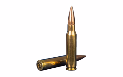 Bulk centerfire rifle ammunition, handgun ammo rounds, and precision match grade cartridges.
